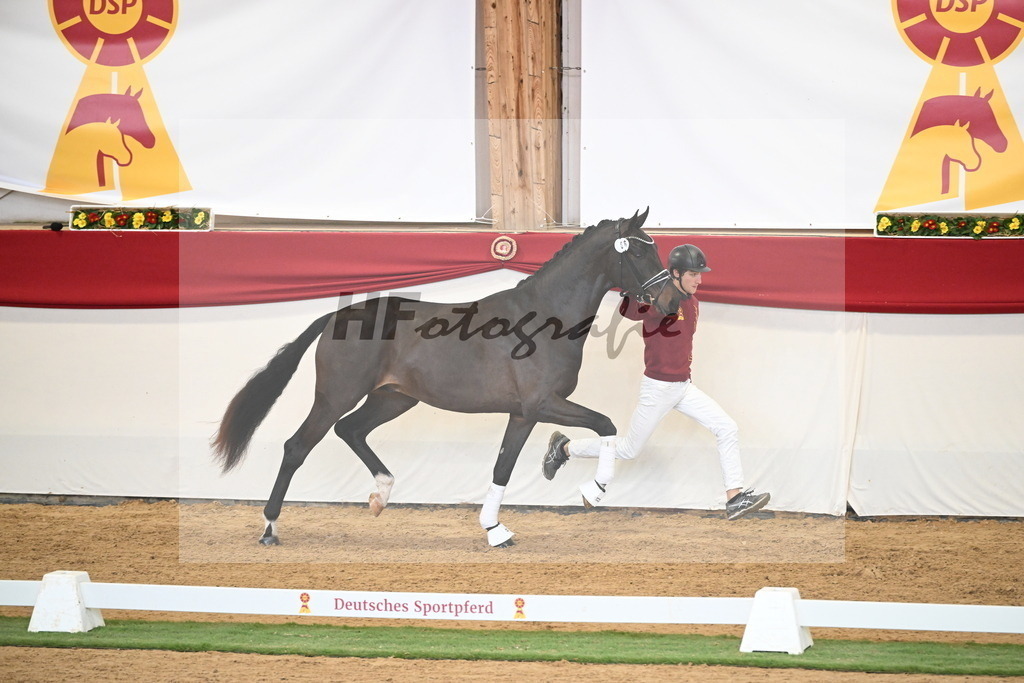 Kat.-Nr. 66 v. Fürstenball_Höchsmann_2250458 | hf-fotografie - Realisiert mit Pictrs.com