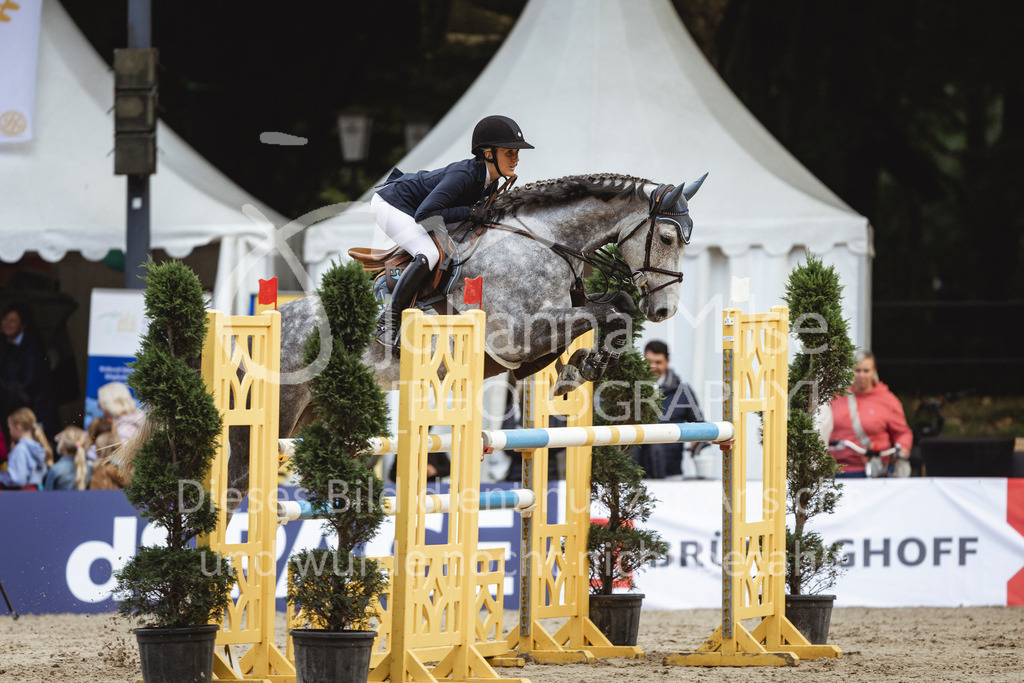 240915_OWLCh_Youngster6y-518 | Deine schönsten Turniermomente als professionelle Fotos! Entdecke hochwertige Pferdesport-Fotografie im Online-Shop. Jetzt Fotos finden & bestellen!