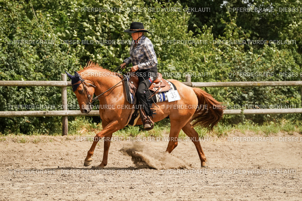 DSC00003 | Pferdegrafie