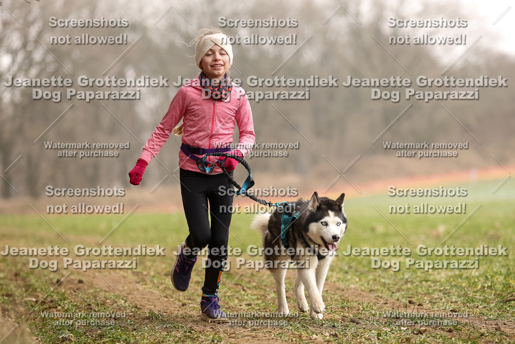 Dog Paparazzi - Plate 2026-111 | Dog Paparazzi Jeanette Grottendiek Fotografie & Videografie - Realisiert mit Pictrs.com