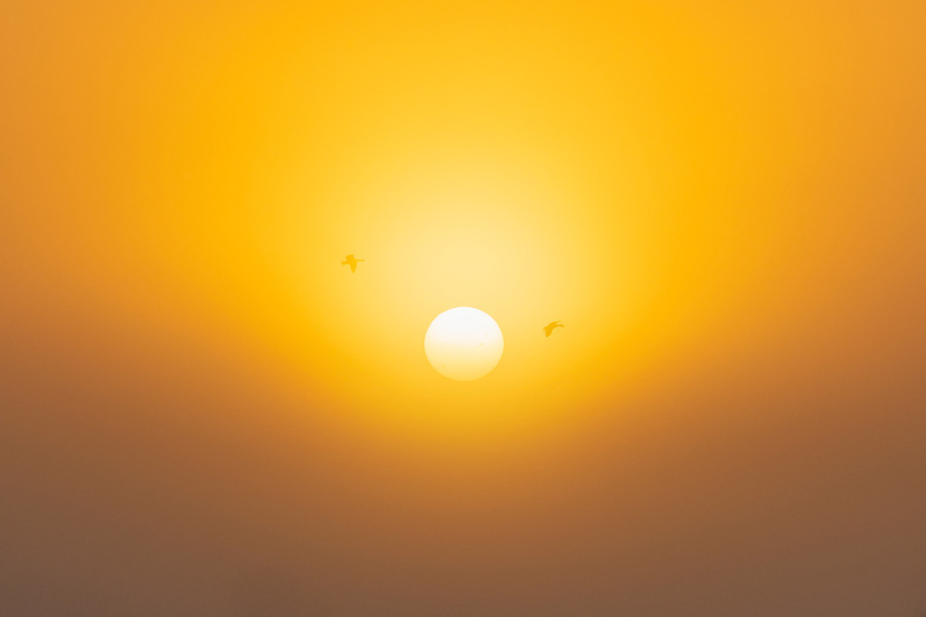 2024_10_04_HIMMELMOOR-NEBEL_MCP7231_01 | Hochwertig gedruckte Fotografien für die Wand, als Kalender und zum Verschenken. Hamburg & Norddeutschland und überall wo ich mit der Kamera unterwegs war.