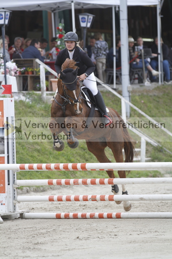 _MG_5216 | equestrian-live-com