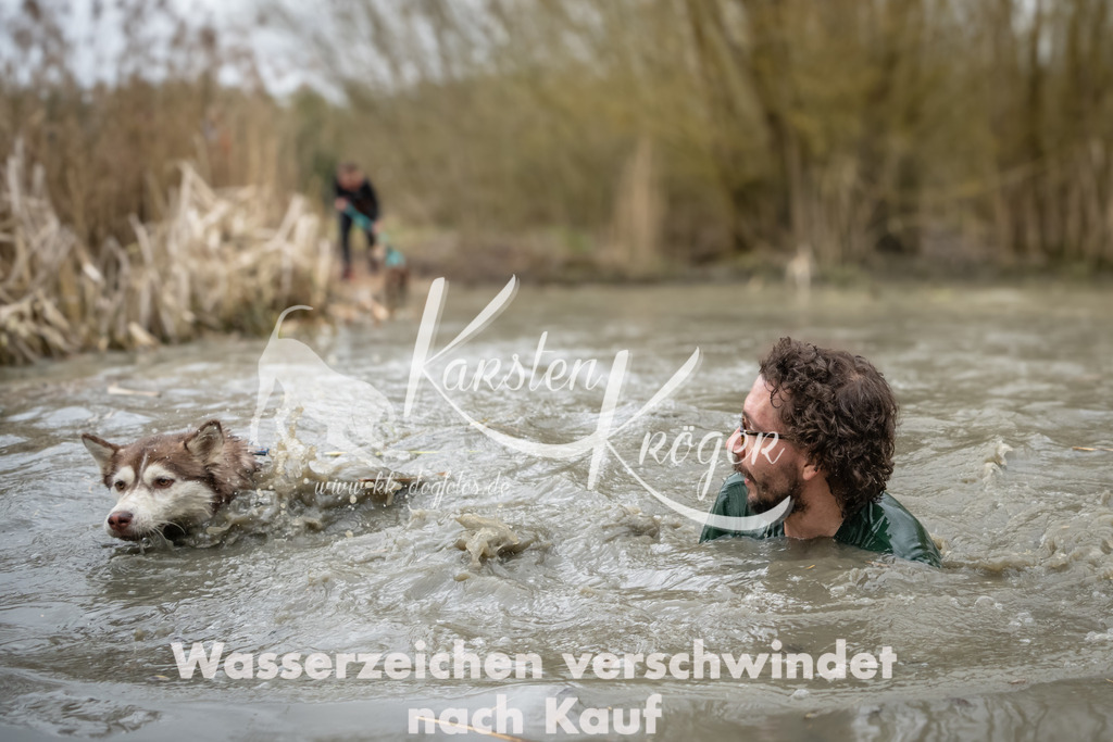 1254_ZZ92783 | kk-dogfotos