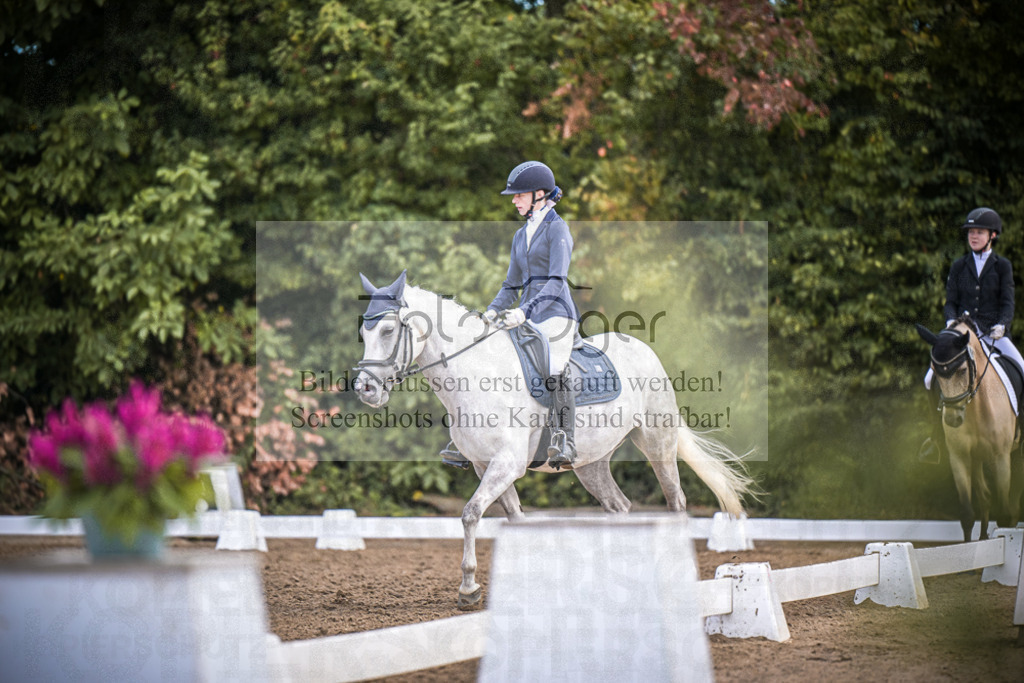 DOS_2229 | Entdecke hochwertige Reitturnierfotos von Foto Oger. Professionell, emotional und authentisch – jetzt Lieblingsmomente im Shop bestellen.Deutschlandweite Turnierfotografie. - Realisiert mit Pictrs.com