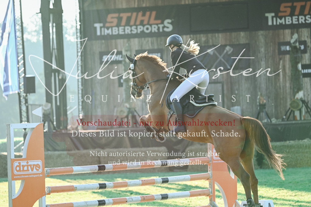 DSC_3941 | Pferde- und Turnierfotografie in Westsachsen. Pferdeportraits, Auftragszeichnungen und intuitive Kunst.