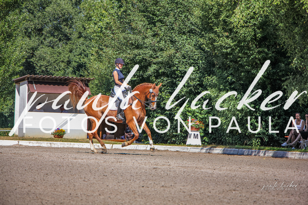 IMG_0312 | Erleben Sie dynamische Sport- und emotionale Tierfotografie in Süddeutschland mit Fotos von Paula. Spezialisiert auf Pferde- und Hundefotografie sowie Sportevents. Kontaktieren Sie mich für einzigartige und ausdrucksstarke Bilder Ihrer besonderen Momente. - Realisiert mit Pictrs.com