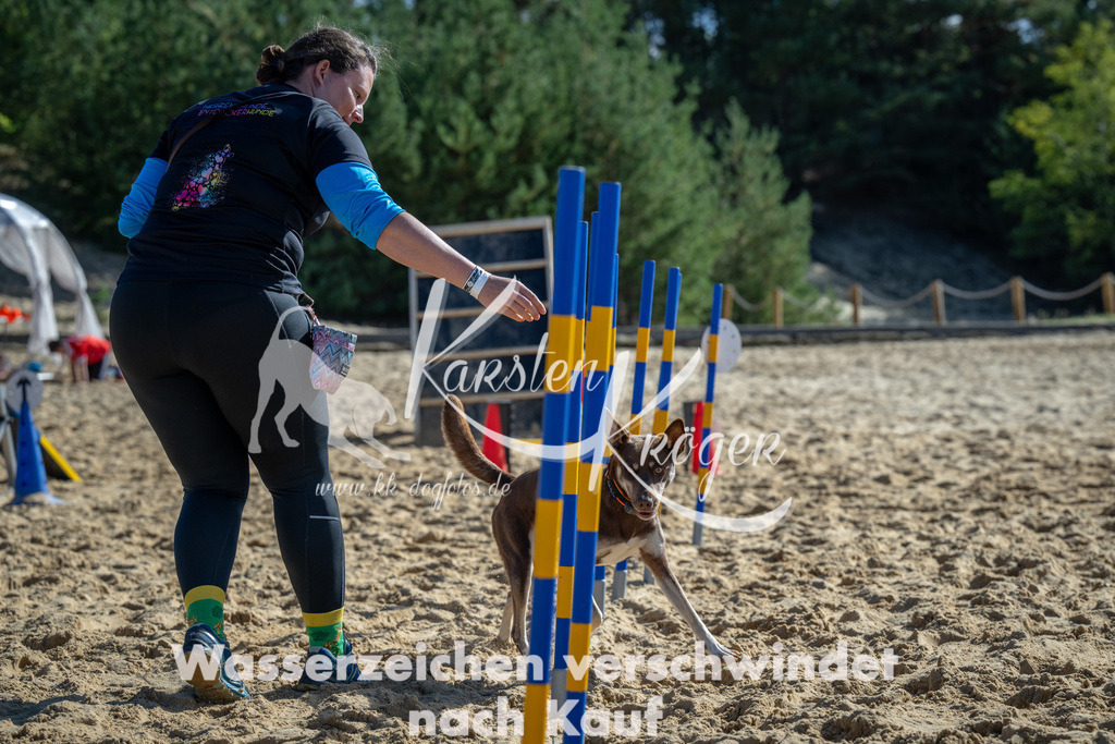 1210_ZZ92530-2 | kk-dogfotos