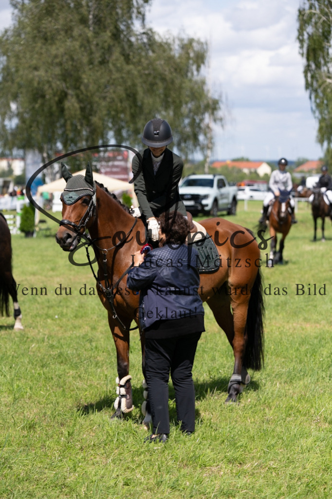 A7V04385 | Turnier/Reitfotograf