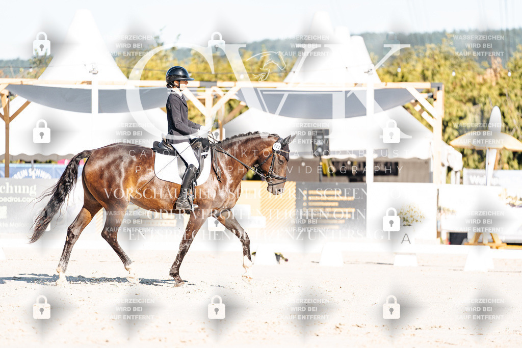 CK907140 | Turnierfotografie Pferdefotografie Trier Rheinland-Pfalz Pferdesport Reitsport Tierfotografie Sportfotografie Pferdevideo Pferdevideografie Equestrianvideography equestrianphotography  - Realisiert mit Pictrs.com
