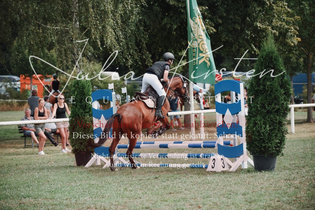DSC_5710 | Pferde- und Turnierfotografie in Westsachsen. Pferdeportraits, Auftragszeichnungen und intuitive Kunst.