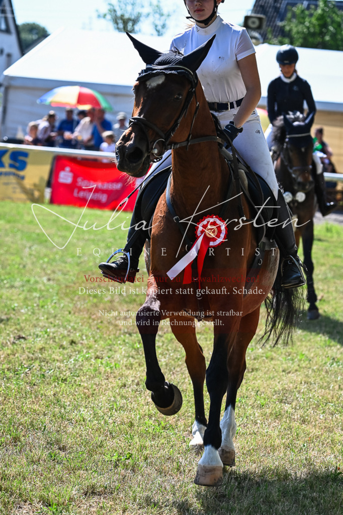 DSC_1785 | Pferde- und Turnierfotografie in Westsachsen. Pferdeportraits, Auftragszeichnungen und intuitive Kunst.