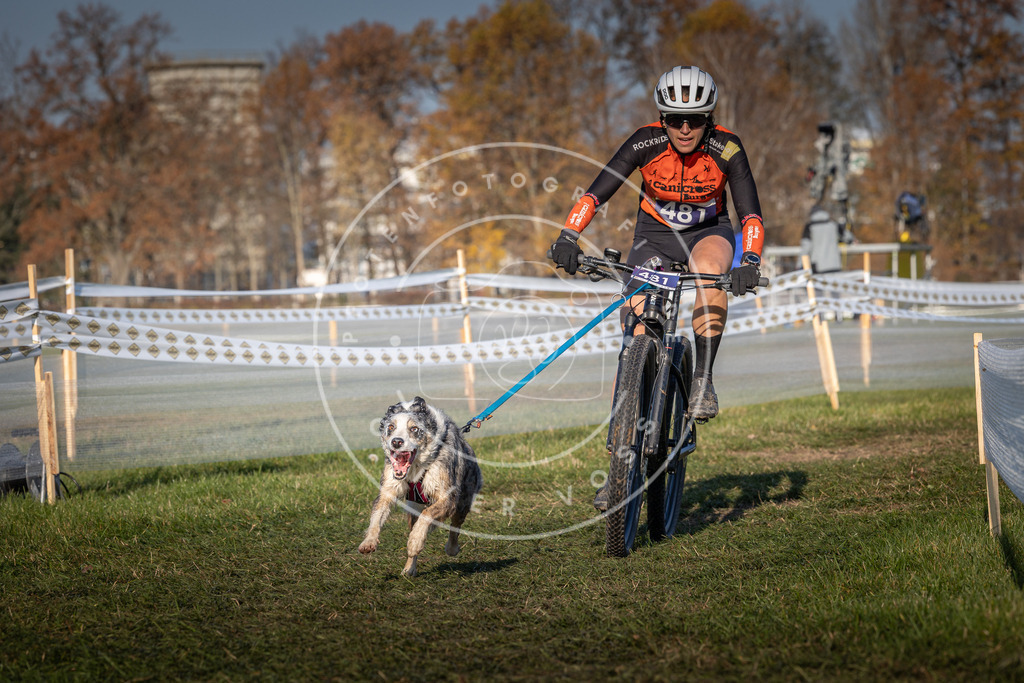 CaniXpix_0L8A4696 | Hundefotografie, Tierfotograf, Pfotenfotografie, Fotoshooting Hund, Hunde Portrait, Hundesport, Hundeportraits, Heideshooting, Hunde, Sportfotograf, Hundefotograf, Turnierhundsport, THS,  - Realisiert mit Pictrs.com