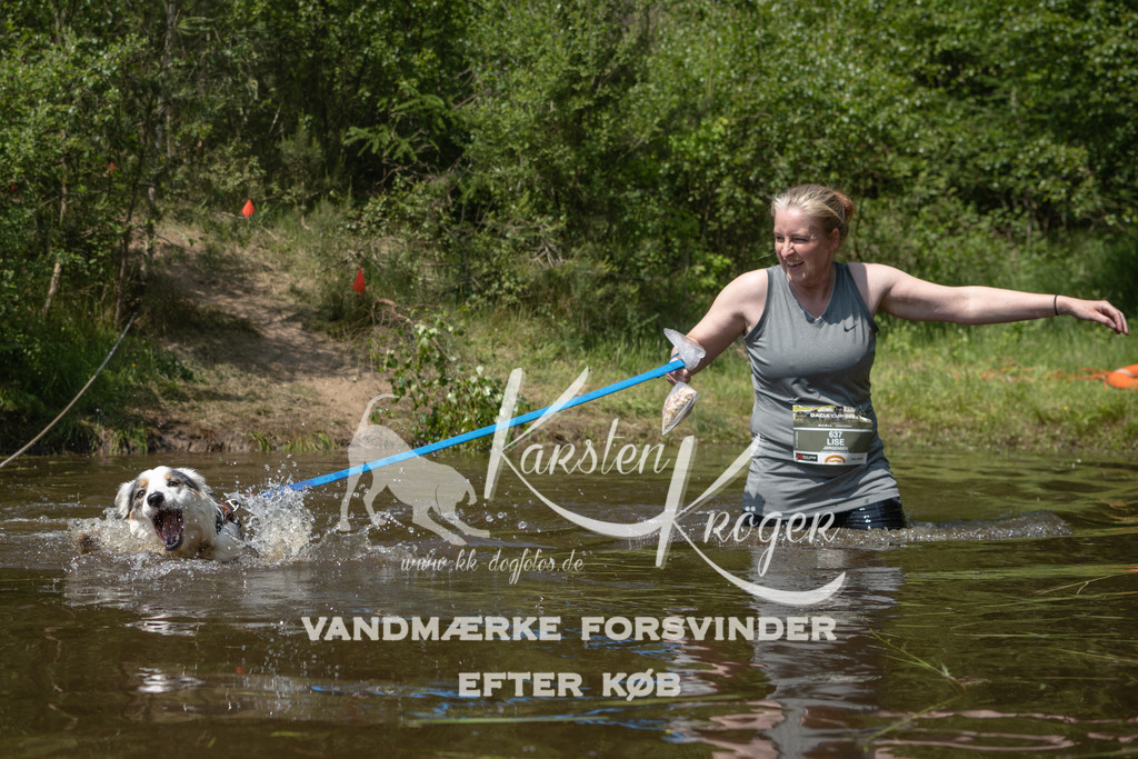 1324DKK994081 | kk-dogfotos