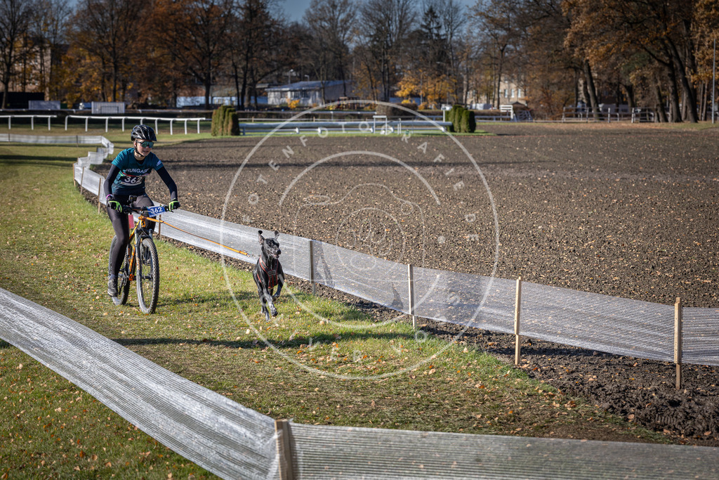 CaniXpix_DV3A7441 | Hundefotografie, Tierfotograf, Pfotenfotografie, Fotoshooting Hund, Hunde Portrait, Hundesport, Hundeportraits, Heideshooting, Hunde, Sportfotograf, Hundefotograf, Turnierhundsport, THS,  - Realisiert mit Pictrs.com