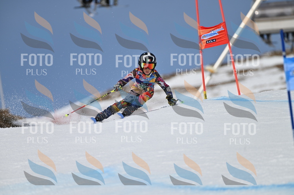 BGV_7043 | holidayphoto