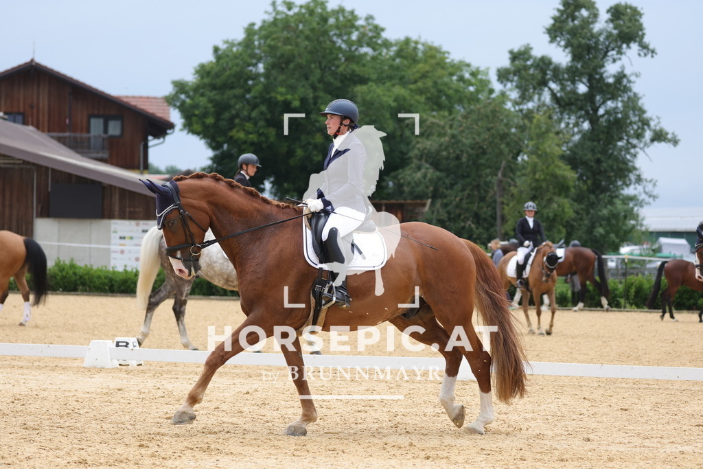 0P6A8606 | Willkommen bei Brunnmayr - Design & Fotografie – Ihrem Spezialisten für Reitturniere und Pferdeveranstaltungen in Oberösterreich, Salzburg und Bayern! Seit über 17 Jahren sind wir leidenschaftlich dabei.