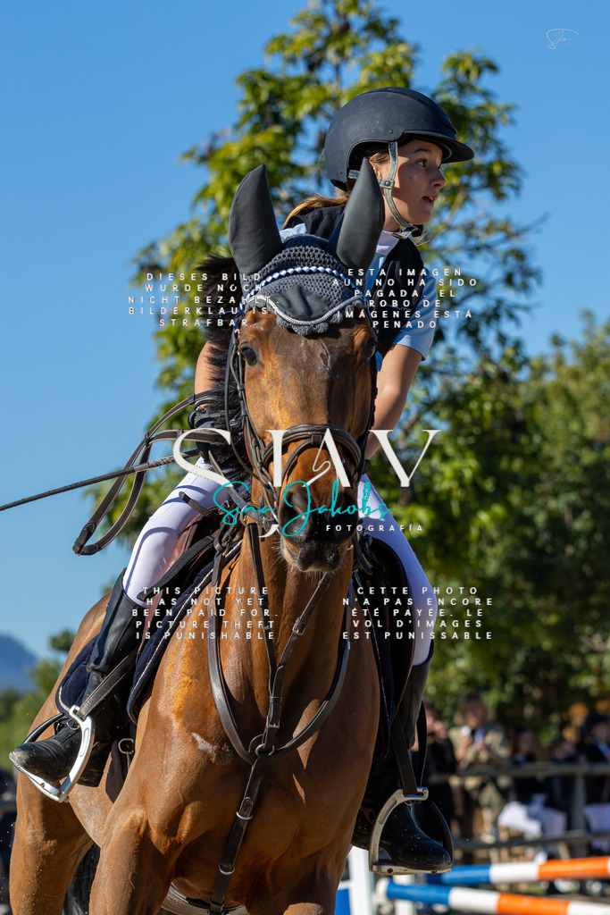 IMG_8268 | s-jay-photography - Realisiert mit Pictrs.com