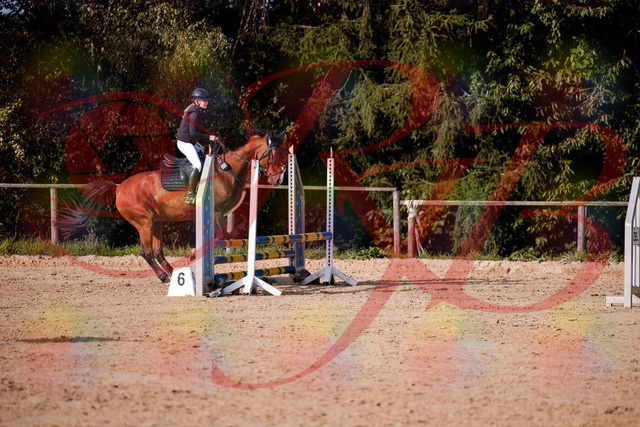 2026_10_03_Siefer-Hof_154708_Z81_66300696 | Professionelle Reitsport-, Turnier- und Eventfotografie von Robert Broda. Galerien mit ausgewählten und bearbeiteten Bildern direkt online ansehen und bestellen.