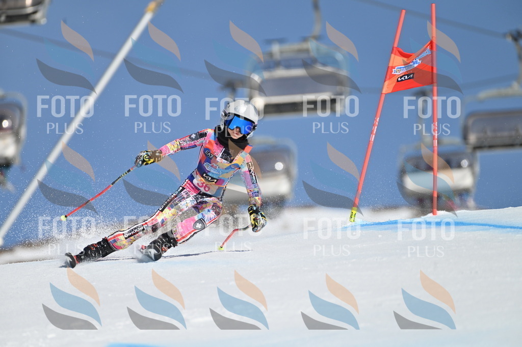 BGV_8259 | holidayphoto