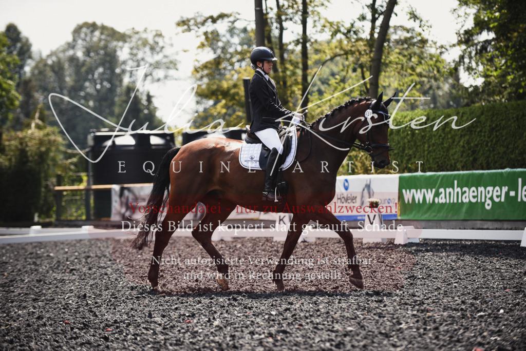 DSC_4153 | Pferde- und Turnierfotografie in Westsachsen. Pferdeportraits, Auftragszeichnungen und intuitive Kunst.