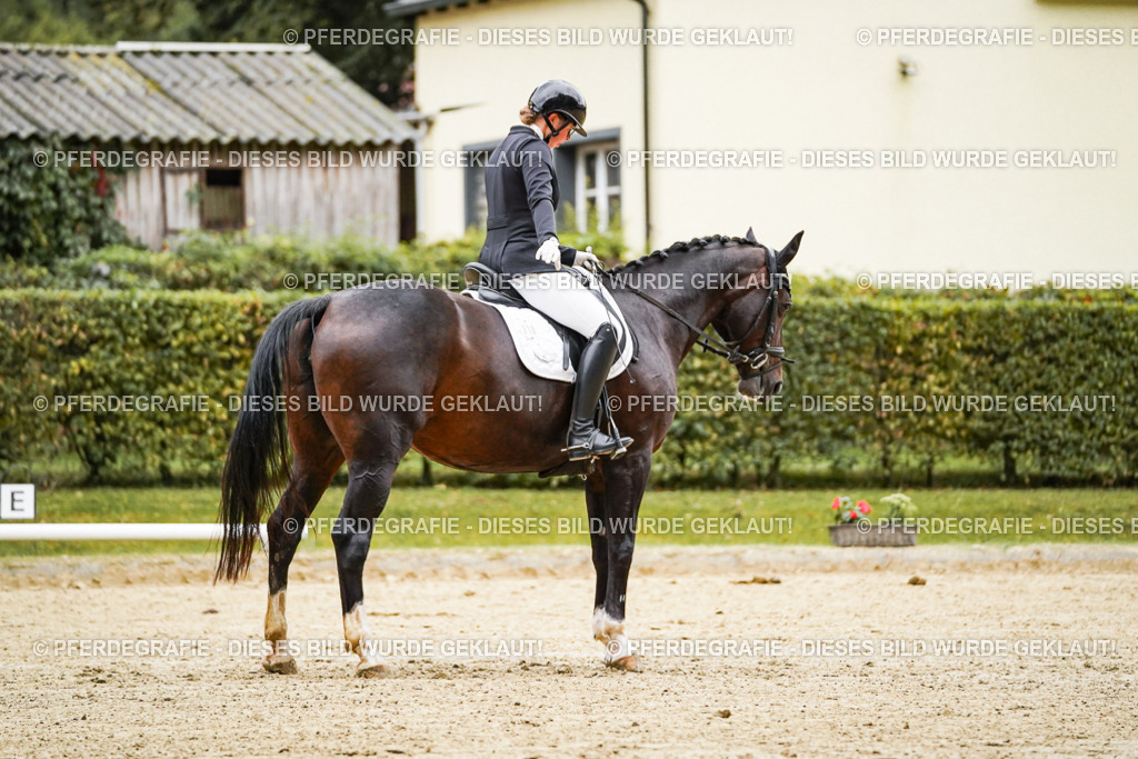 DSC06794 | Pferdegrafie