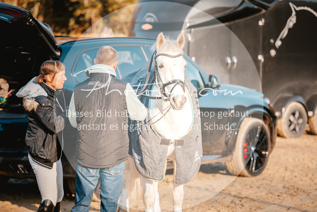 3I6A1564 | Stimmungsvolle Portraits und Reitsportfotografie im Ruhrgebiet und im Münsterland.

Pferdefotografie, Hundefotografie, Tierfotografie, Reportagen, Portraits von Tier und Mensch, Turnierfotografie in Bochum, Recklinghausen, Marl, Haltern am See, Dülmen.. - Realisiert mit Pictrs.com