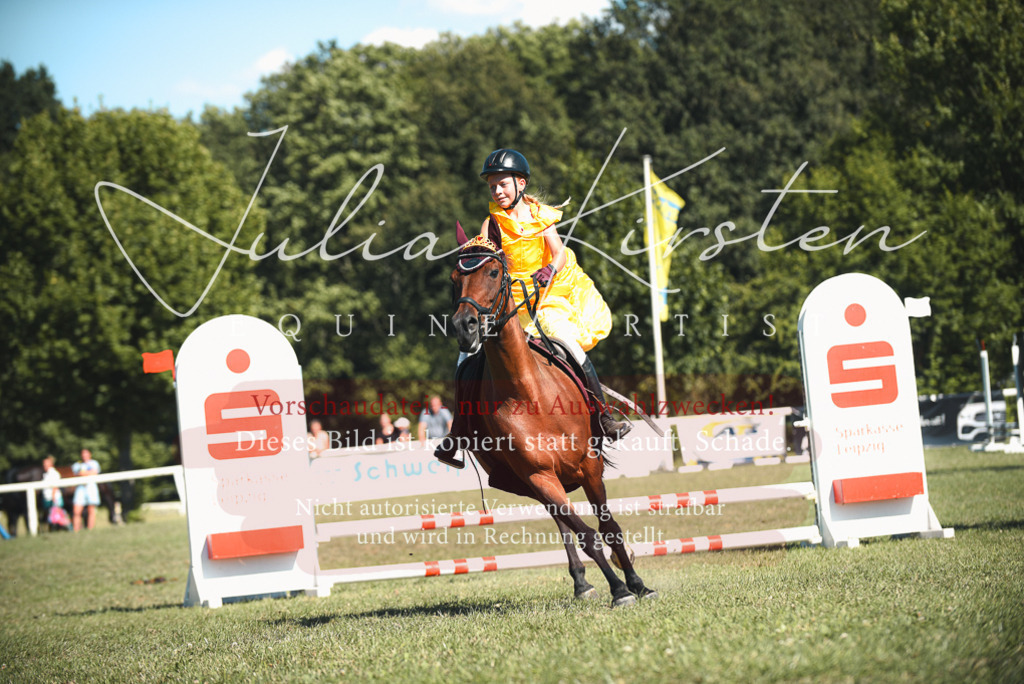 DSC_7525 | Pferde- und Turnierfotografie in Westsachsen. Pferdeportraits, Auftragszeichnungen und intuitive Kunst.
