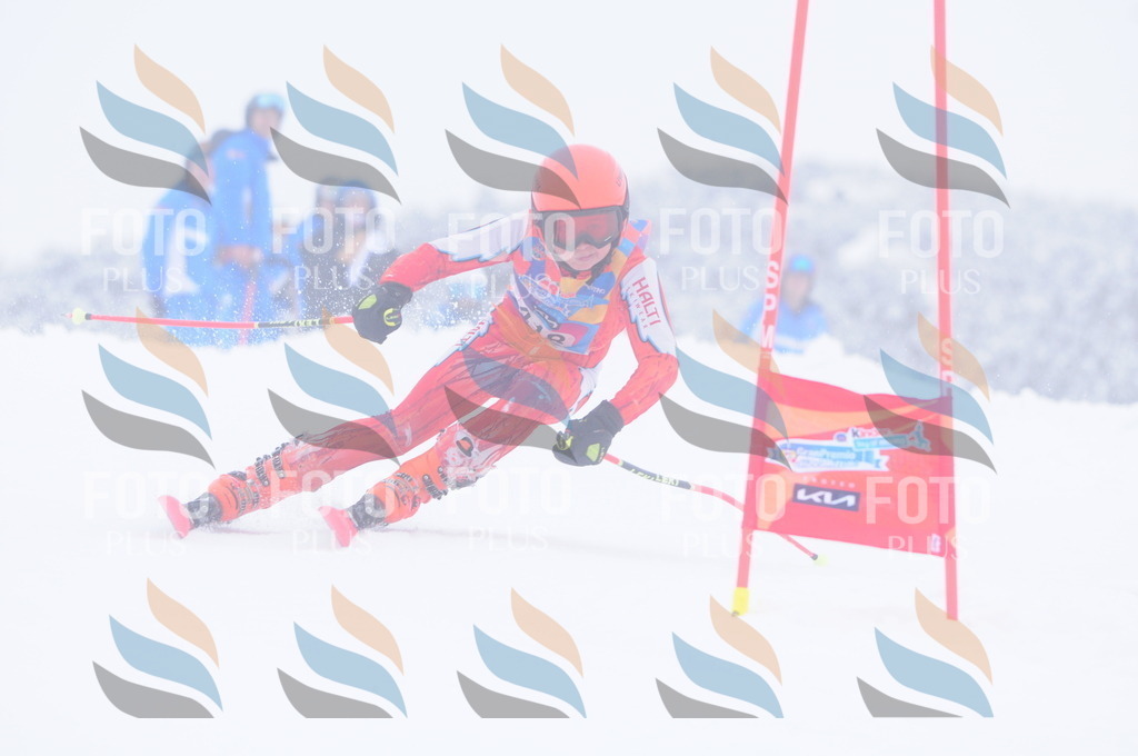 C4386 | holidayphoto