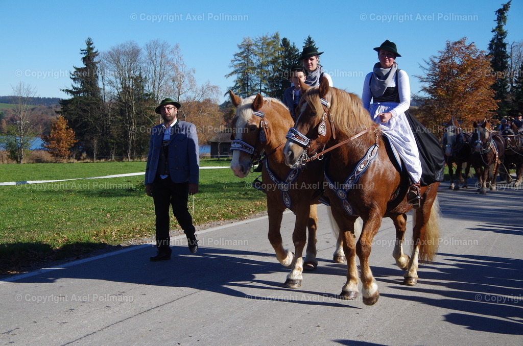 IMGP7936 | fotografiert von Axel PollmannLeonhardi Wallfahrt Benediktbeuern und Murnau, Fronleichnam, Fasching, Landschaft im Loisachtal und Benediktbeuern  - Realisiert mit Pictrs.com