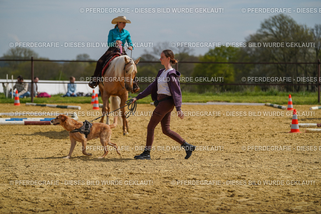 DSC04225 | Pferdegrafie