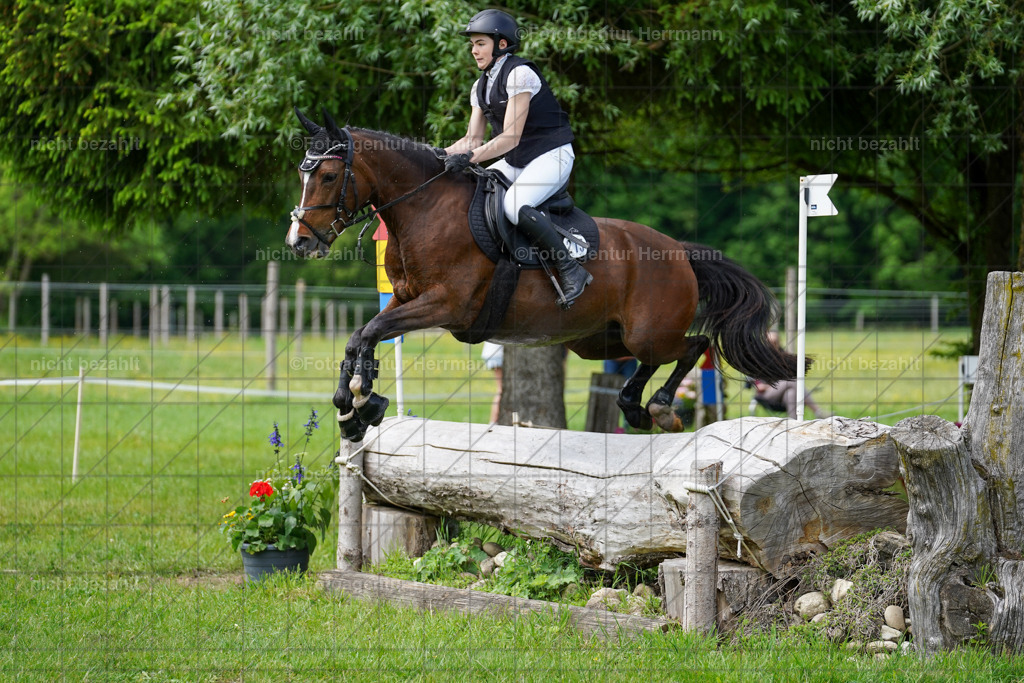 20240518-FAH03792 | Turnierbilder von Niederseon, Turnierfotografen Bayern, Fotoagentur Herrmann, Geländebilder, Reitsportfotografie