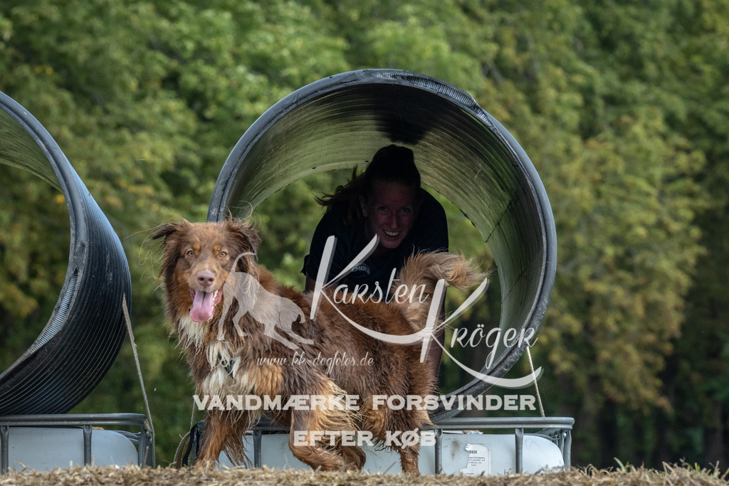 1338_ZZ94107 | kk-dogfotos