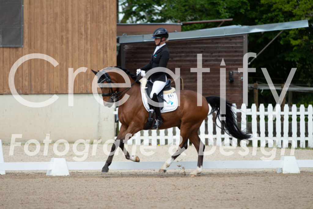 IMG_5597 | Creatify Fotografie