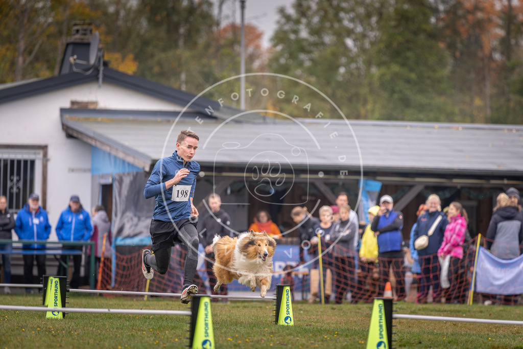 Pfotenfotografie_DV3A0771 | Hundefotografie, Tierfotograf, Pfotenfotografie, Fotoshooting Hund, Hunde Portrait, Hundesport, Hundeportraits, Heideshooting, Hunde, Sportfotograf, Hundefotograf, Turnierhundsport, THS,  - Realisiert mit Pictrs.com