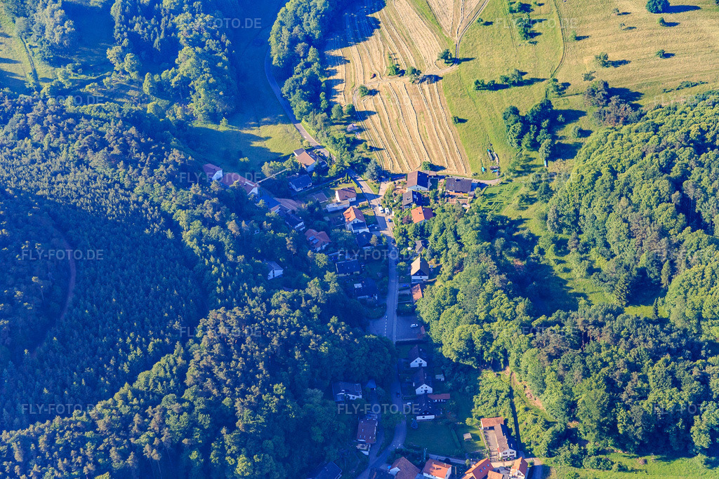 Luftbild: Am Querenberg im Ortsteil Blankenborn in Bad Bergzabern im Bundesland Rheinland-Pfalz in Deutschland. Foto: IMG_080067.jpg vom 05.06.2015 durch Werner Riehm/FLY-FOTO.de