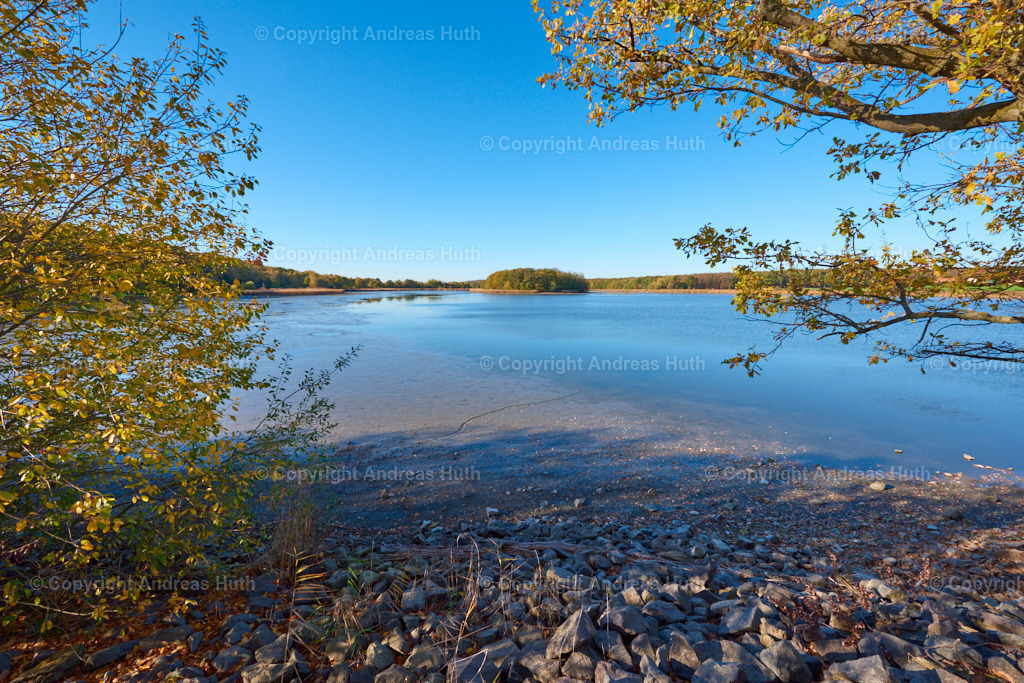Die Horstsee-Insel_ ausgewiesenes Vogelschutz- und Amphipien-Rückzugs-Gebiet  01 | Bedeutsame Landschaften Deutschlands - Realisiert mit Pictrs.com