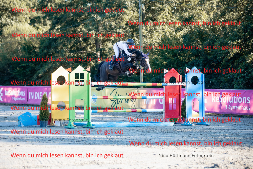 BK1A8843 | Turnierbilder Turnierfotos Nina Hüffmann Turnierfotografie Pferdefotografie Tierzeichnung Haustierzeichnung Pferdezeichnung Hundezeichnung Videograf  - Realisiert mit Pictrs.com