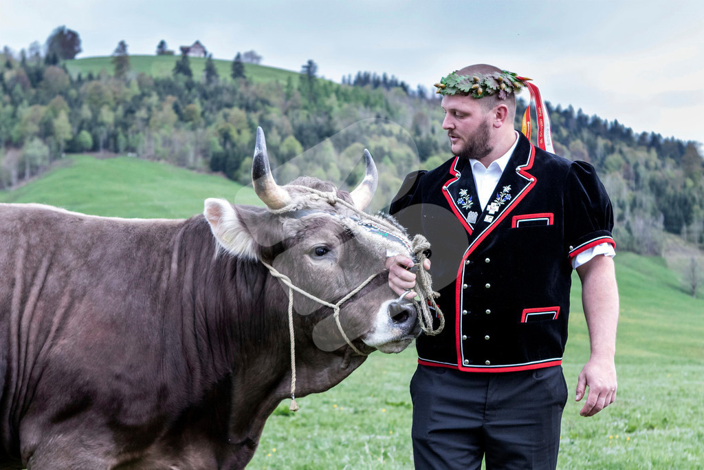 IMG_1035 | Die Schwinger des Schwyzer Kantonalen Schwingerverbandes: Fotos, die Dynamik und Leidenschaft festhalten, sowie emotionale Momente aus dem traditionellen Schwingsport zeigen. - Realisiert mit Pictrs.com