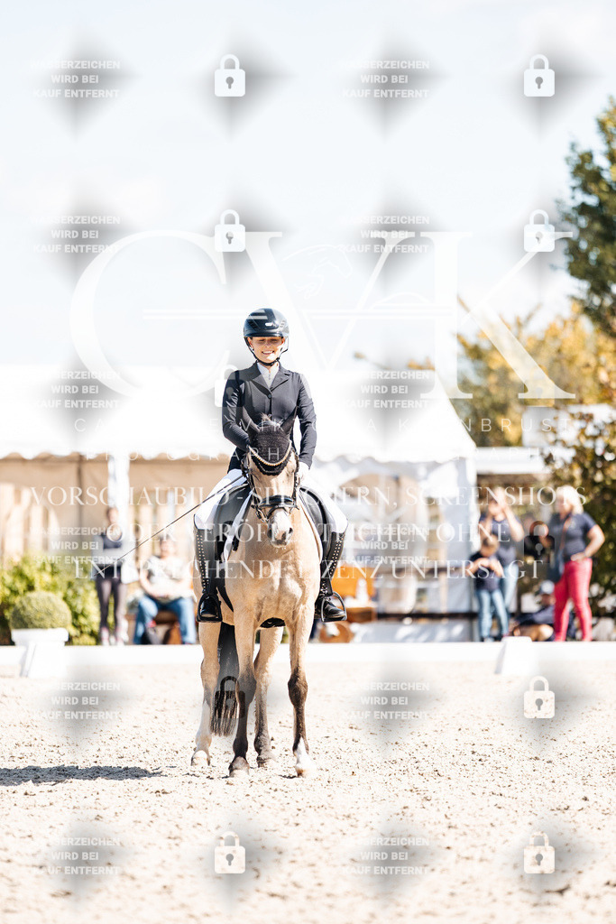 CK903779 | Turnierfotografie Pferdefotografie Trier Rheinland-Pfalz Pferdesport Reitsport Tierfotografie Sportfotografie Pferdevideo Pferdevideografie Equestrianvideography equestrianphotography  - Realisiert mit Pictrs.com