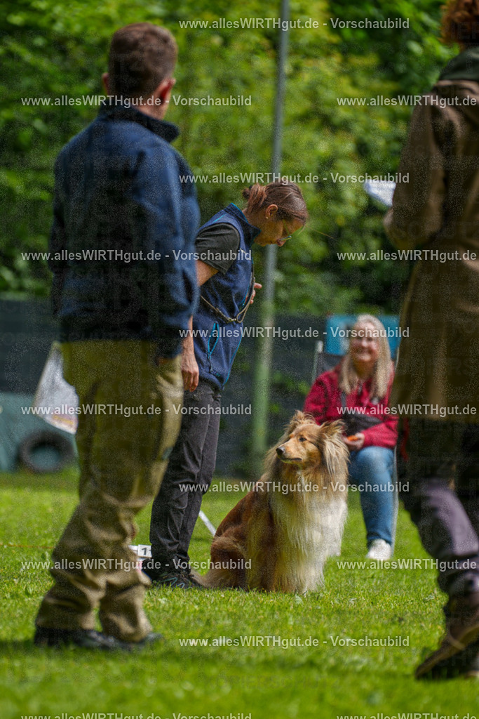 @allesWIRTHgut_Tierfotografie - www.allesWIRTHgut.de - 095517-7R507839 | Professionelle Tierfotografie in Mönchengladbach von Daniel Wirth (allesWIRTHgut). Liebevolle & natürliche Bilder von Hunden & Katzen für unvergessliche Erinnerungen.