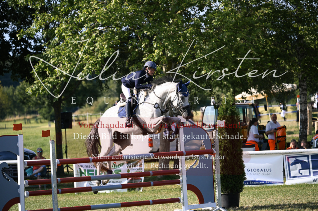 DSC_1682 | Pferde- und Turnierfotografie in Westsachsen. Pferdeportraits, Auftragszeichnungen und intuitive Kunst.