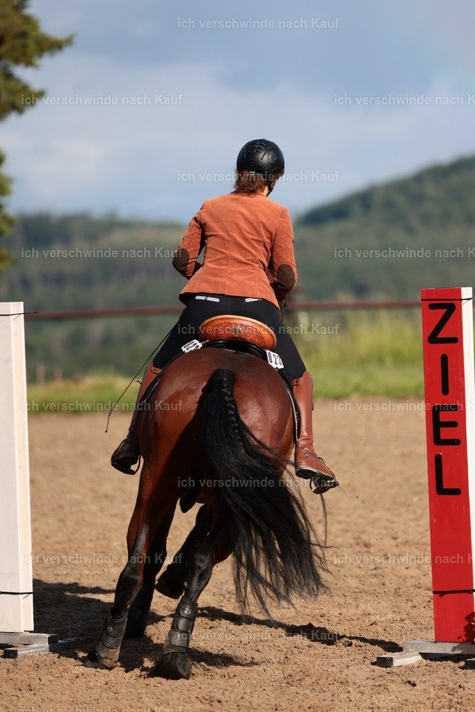 KlasseL_Stoibphotography_CAM24108.JPG | working equitationturnier fotograf videograf stoibphotography marixx film working equitation deutschland reitsport turnierfotografie eventfotografie equestrian events