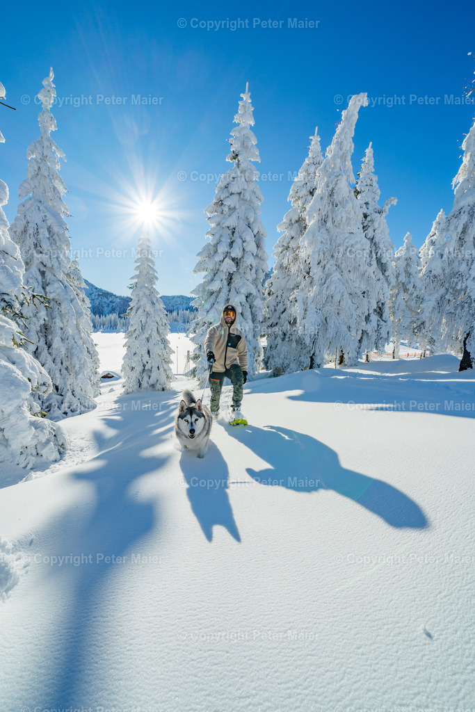 NLW_Husky_Koller_Winter_2024_Peter_Maier-52 | piet_flosse