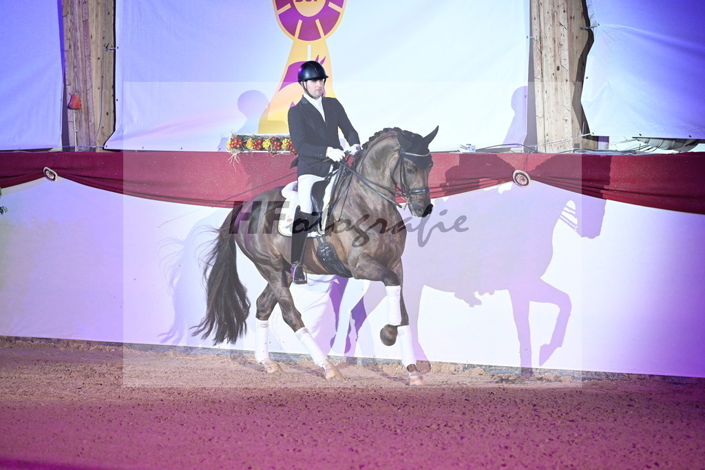 Feliciano_Wadenspanner_3262053 | hf-fotografie - Realisiert mit Pictrs.com