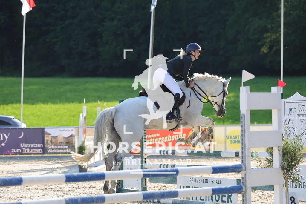 0P6A6977 | Willkommen bei Brunnmayr - Design & Fotografie – Ihrem Spezialisten für Reitturniere und Pferdeveranstaltungen in Oberösterreich, Salzburg und Bayern! Seit über 17 Jahren sind wir leidenschaftlich dabei.
