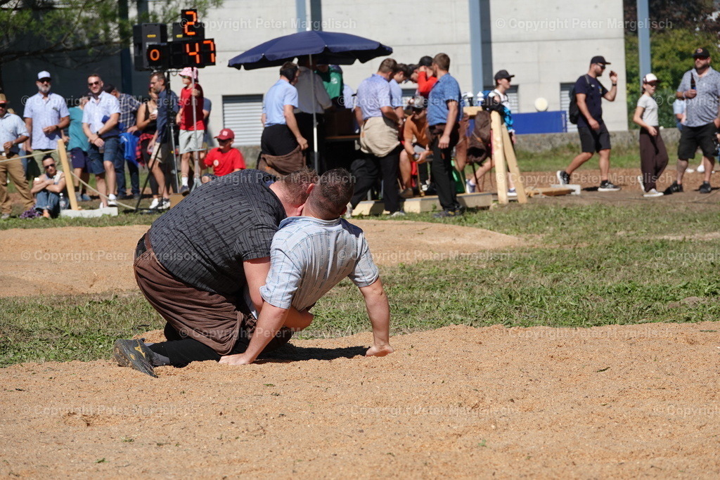 DSC01714 | Schwingen - Realisiert mit Pictrs.com