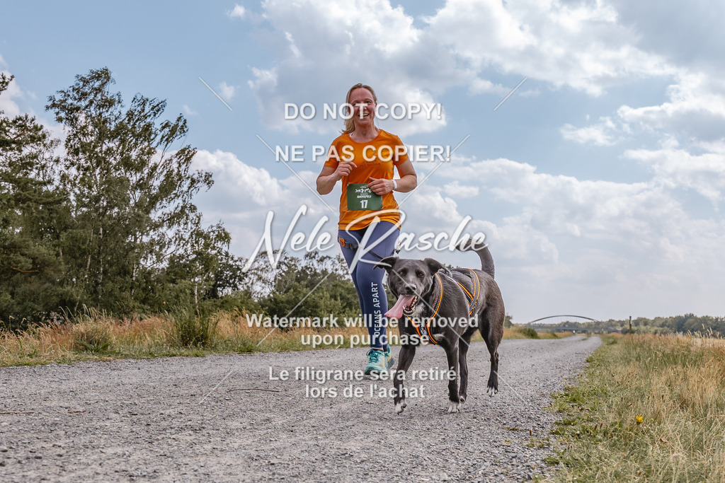 BUHU_CC_219 | nelerasche