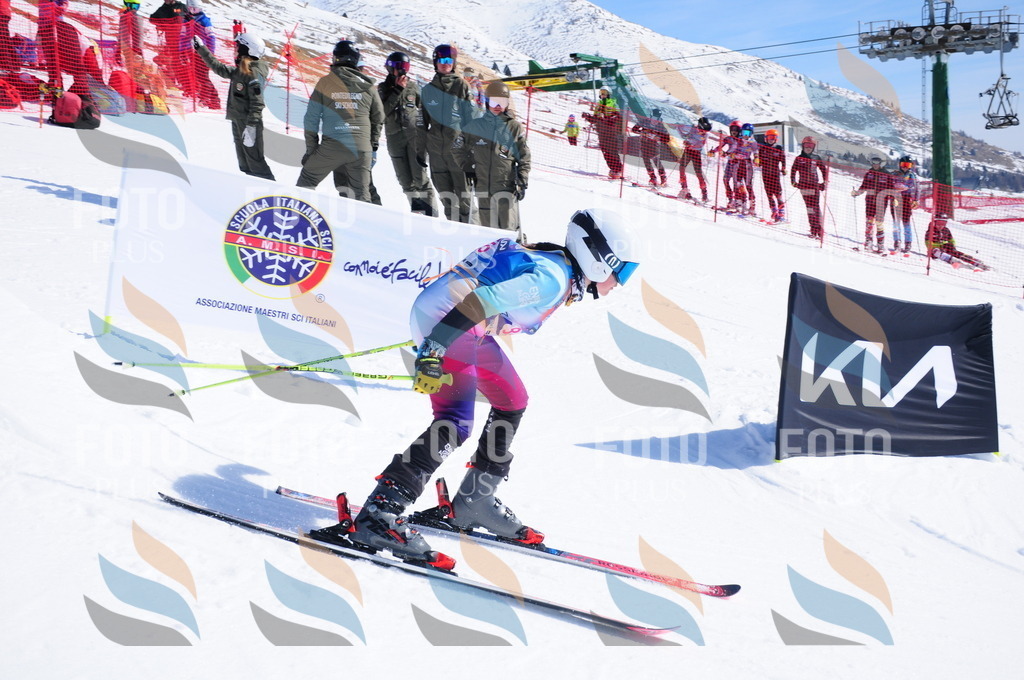 DSC_4574 | holidayphoto