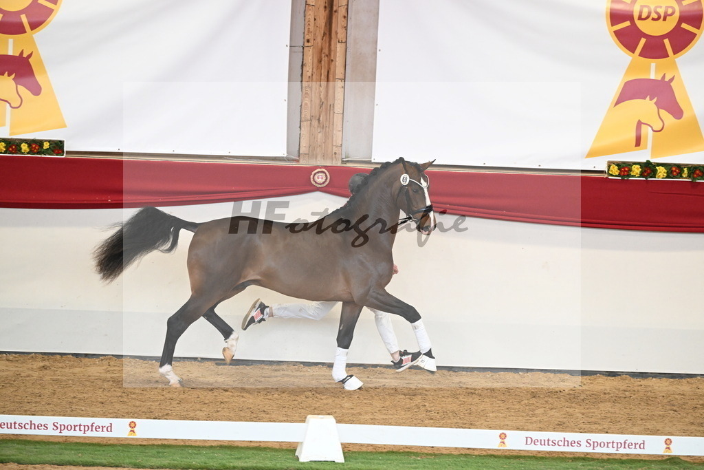 Kat.-Nr. 69 v. Glamourdale_Reichert_2250508 | hf-fotografie - Realisiert mit Pictrs.com