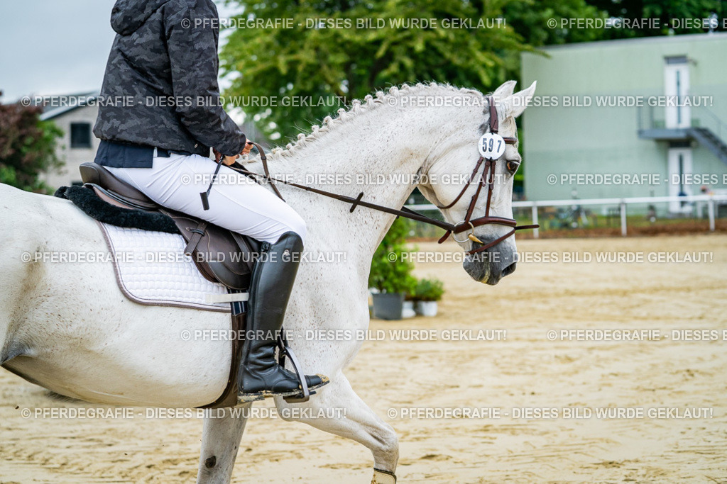 DSC02360 | Pferdegrafie